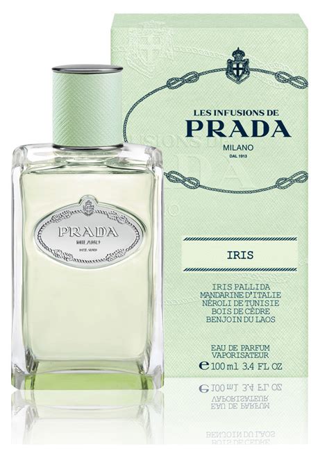 infusion d iris prada eau de parfum|prada infusion d'iris 200ml.